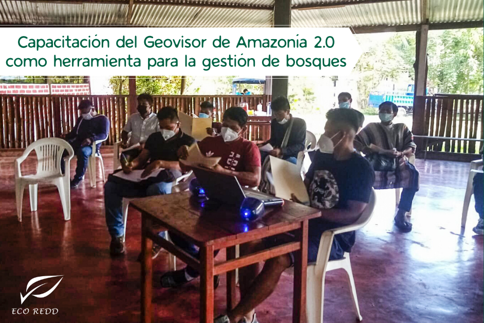 Concluyó con éxito el Programa de Capacitación Regional del GeoVisor de Amazonía 2.0 que contribuye al monitoreo de los territorios indígenas 